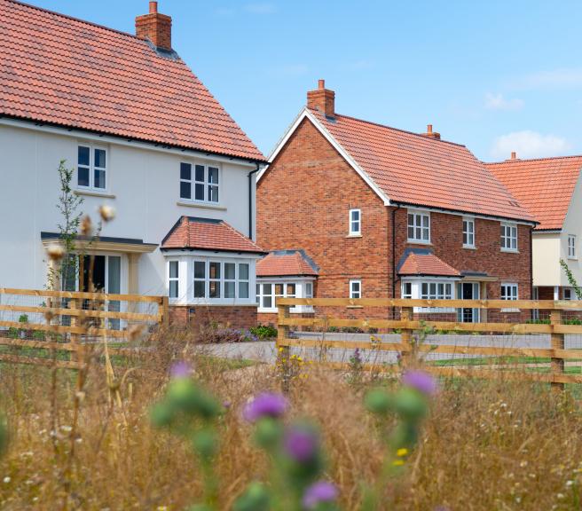 Chesterford Meadows 